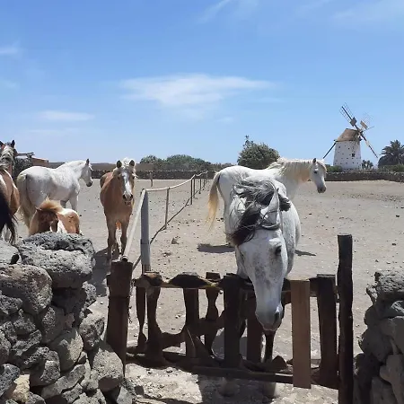 Alaia Tiny House Between Volcanoes And Beach Breaks 호텔 Cotillo