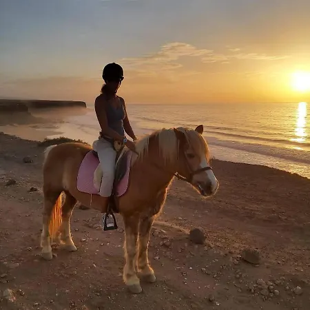 Alaia Tiny House Between Volcanoes And Beach Breaks Cotillo